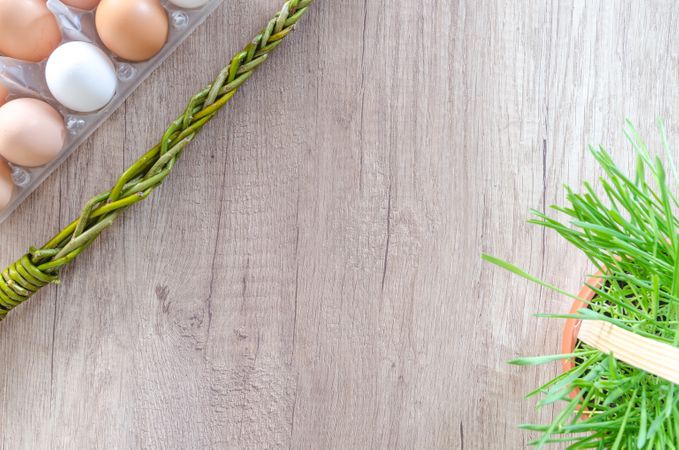 Eggs And Plant Pot In Corner On Wooden Table Photo