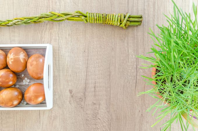 Eggs Decorated In Tray Beside Plant Pot Photo