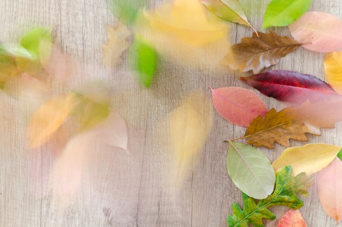 Falling Autumn Leaves On Wooden Table Photo