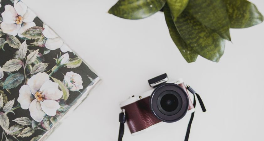 Flat-lay Photography Of Camera, Book And Green Plant On White Table Photo