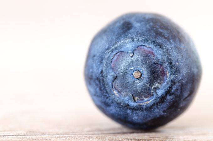 Focused Blueberries Photo