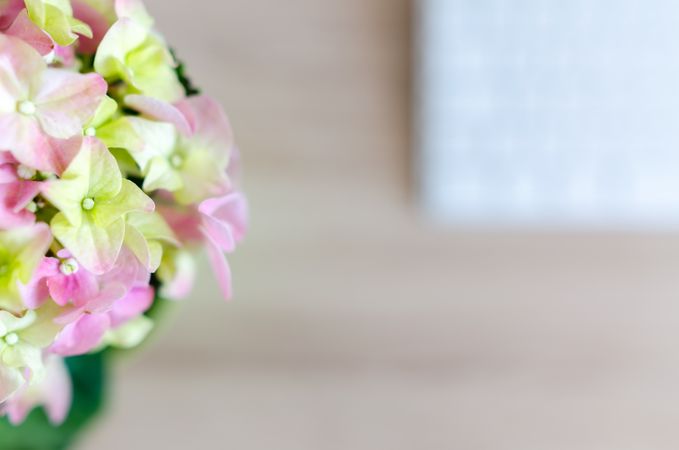 Focused Light Pink Petals Flowers On Desk Photo