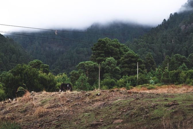 Foggy Morning With Mountain Photo