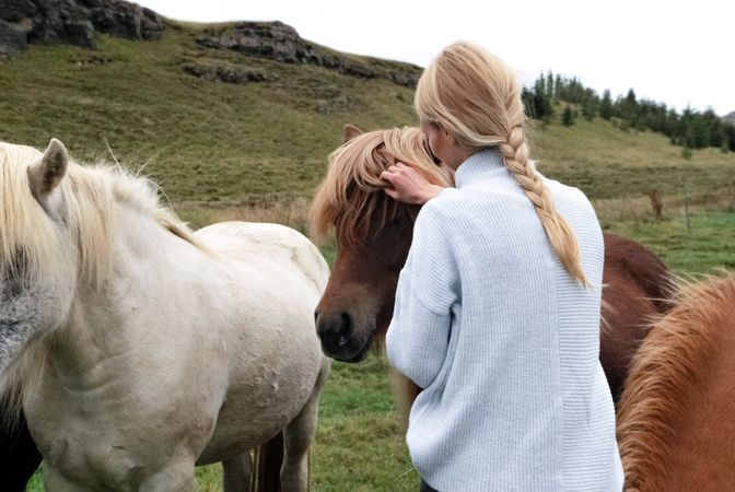 Girl In White Shirt Talking Care Of Horse Photo