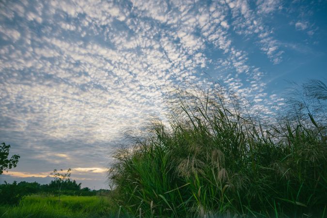 Green Grass Under Cloudy Sky Photo