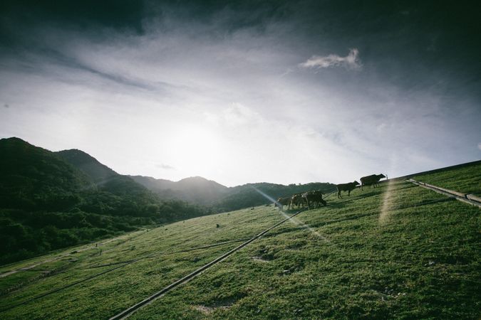 Green Mountains And Sun Rays Photo
