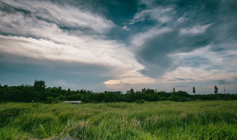 Greenery Under Cloudy Weather Photo
