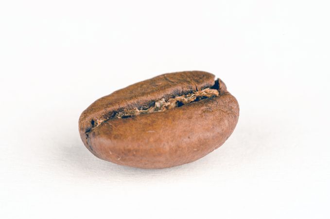 Oval Brown Stone Coffee Beans Photo