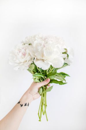 Person Holding White Peony Bouquet Closeup Photography Photo