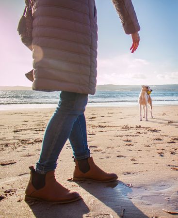 Person In Bubble Coat Walking On Beach Near Dog At Daytime Photo