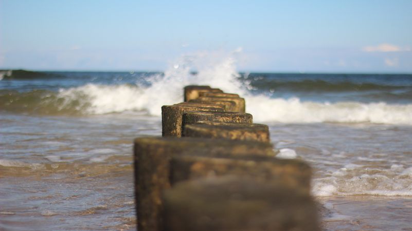 Photo Of Brown Logs In Body Of Water Photo