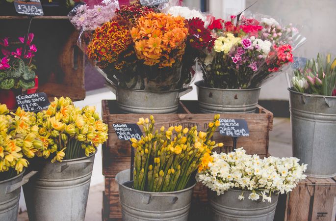 Photo Of Flowers On Bucket Photo