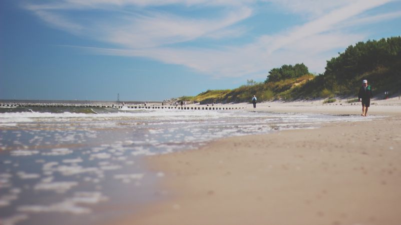 Photo Of Shore Line Photo
