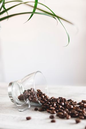 Photo Of Spilled Coffee Beans Photo