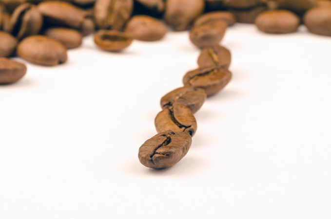 Pile Of Coffee Bean Photo
