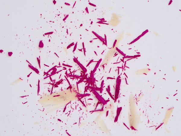 Pink Abstract, Beauty, Bright Photo