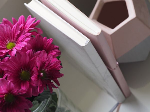 Pink And White Books Photo