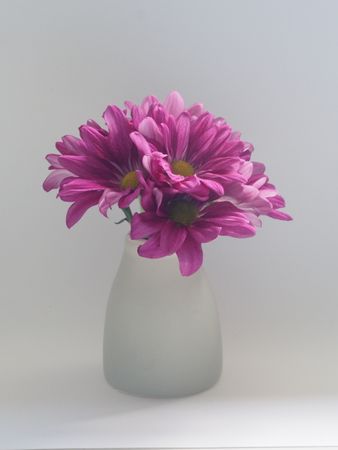 Pink Flowers On White Vase Photo