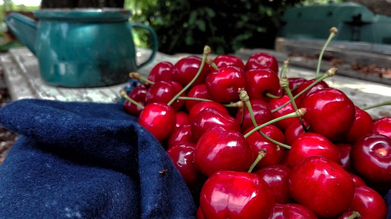 Red Cherries Fruits Photo