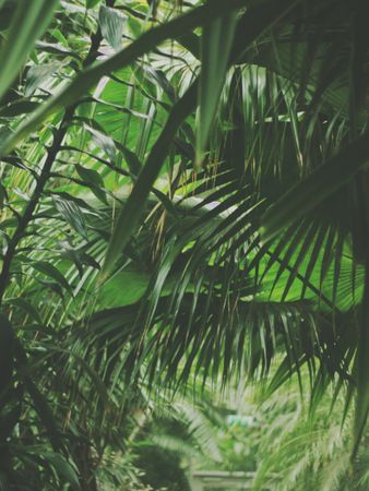 Selective Focus Photography Of Botanical Garden Photo