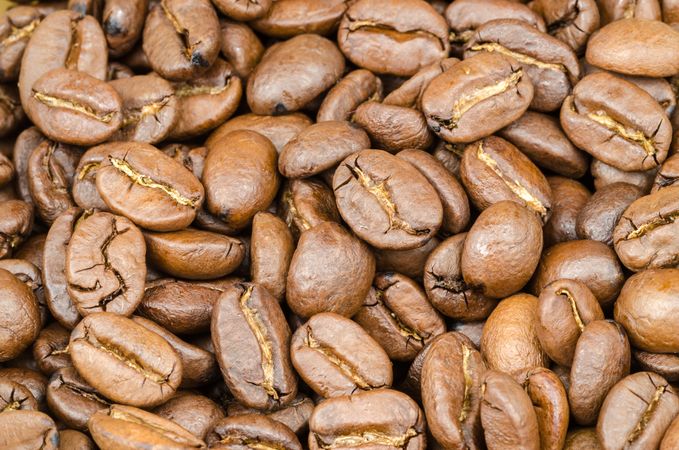Selective Photography Of Arabic Coffee Beans Photo