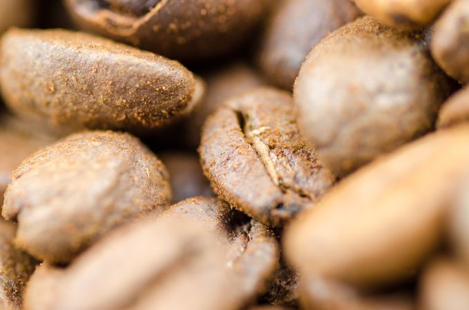 Selective Photography Of Coffee Beans Photo