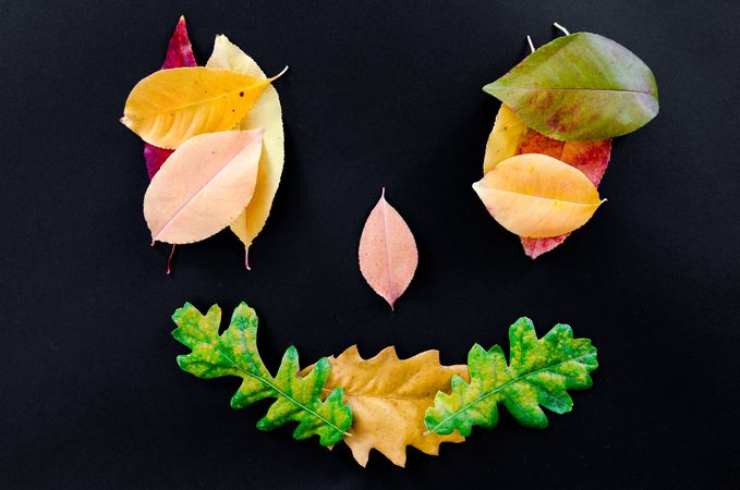 Smiley Face By Autumn Leaves On Black Backgaround Photo