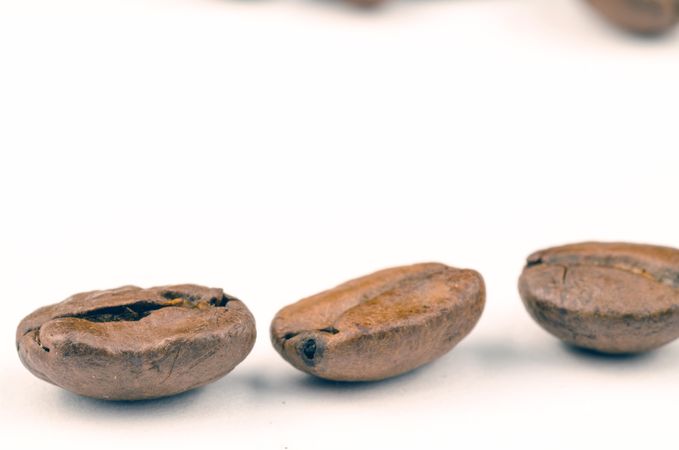 Three Coffee Beans Photo