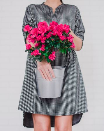 Woman Holding Black And White Midi Dress Photo