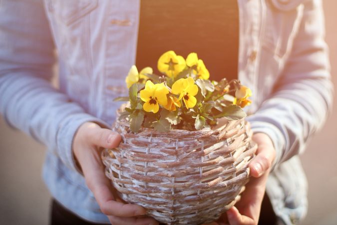 Woman Holding Yellow Flower Basket Plant In Her Hand Photo