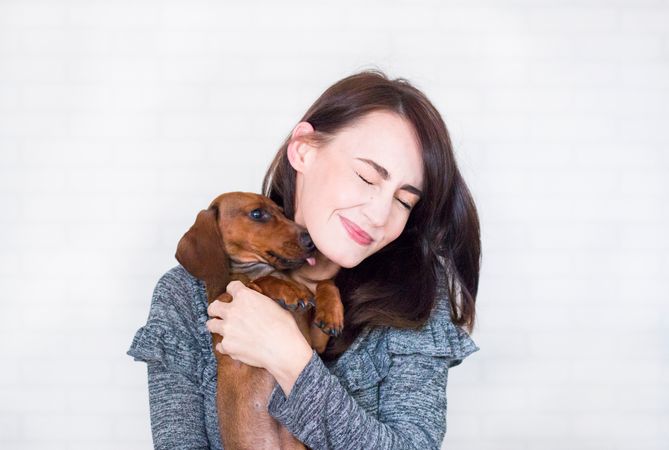 Woman In Grey Top Hugging Brown Dachshund Photo