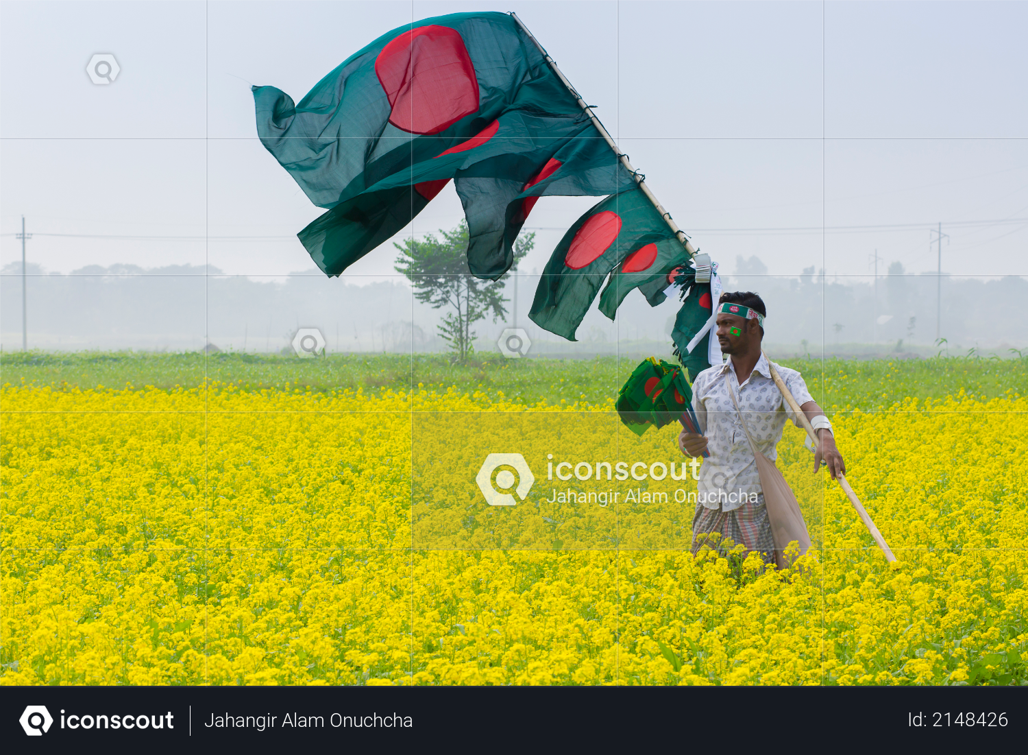 A Hawker sells Bangladeshi national flags at mustard field at Munshigonj, Dhaka, Bangladesh Photo