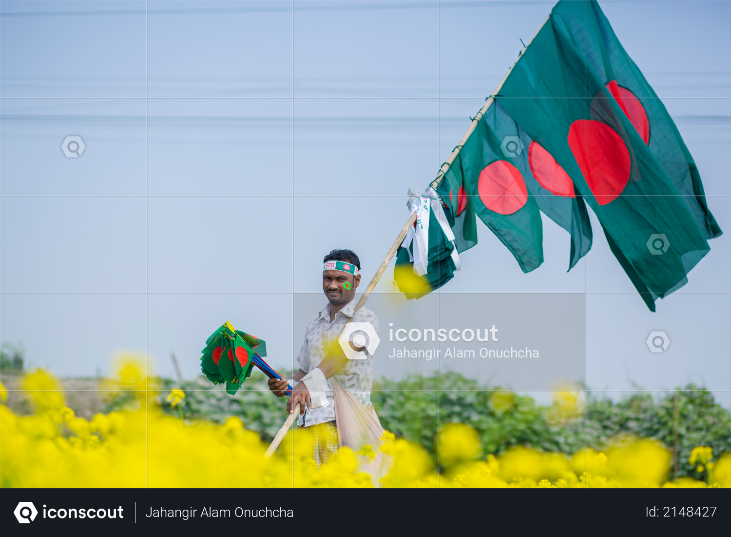 A Hawker sells Bangladeshi national flags at mustard field at Munshigonj, Dhaka, Bangladesh Photo