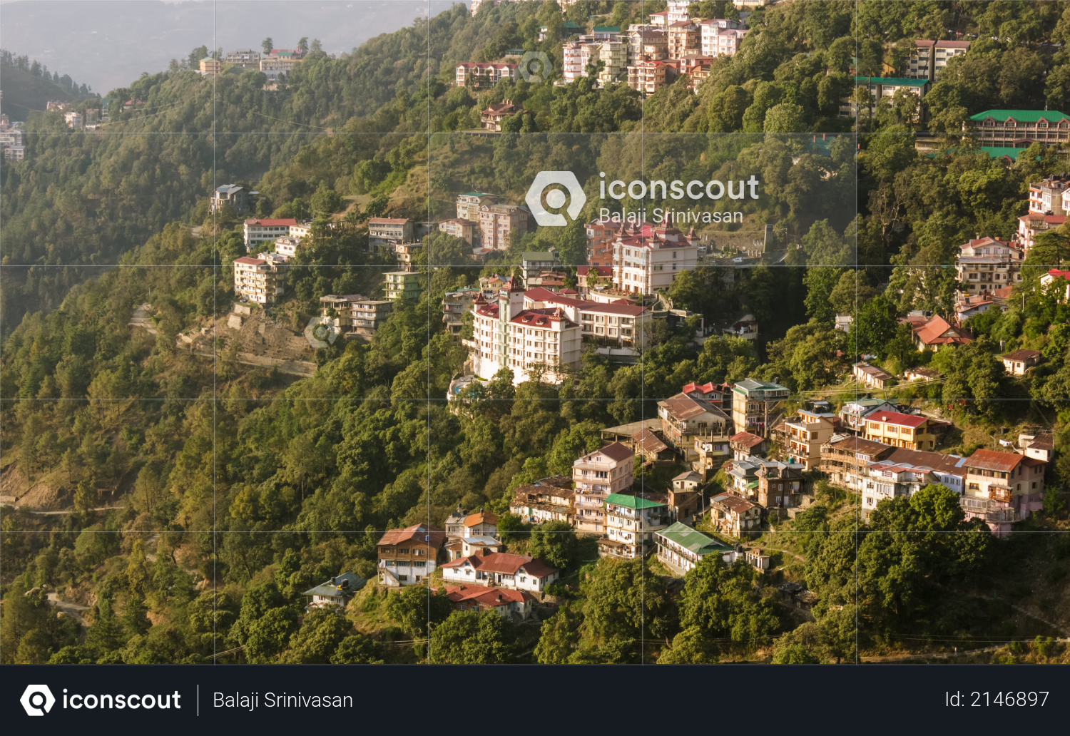A view of the hotels and the houses spread around the forested slopes in the Himalayan hill station of Shimla. Photo