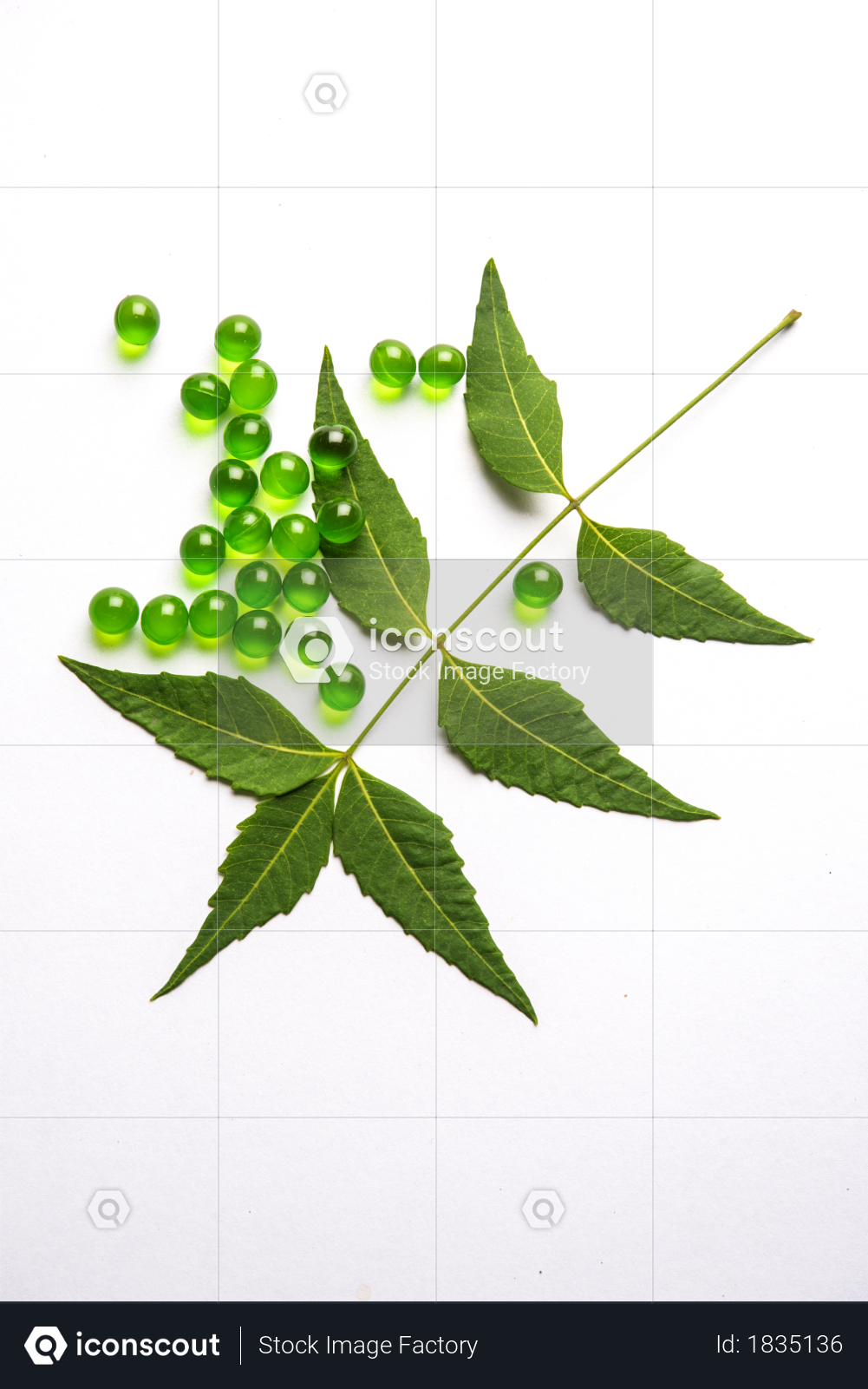 premium ayurvedic neem pills and neem leaves over white background photo download in png jpg format premium ayurvedic neem pills and neem leaves over white background photo download in png jpg format