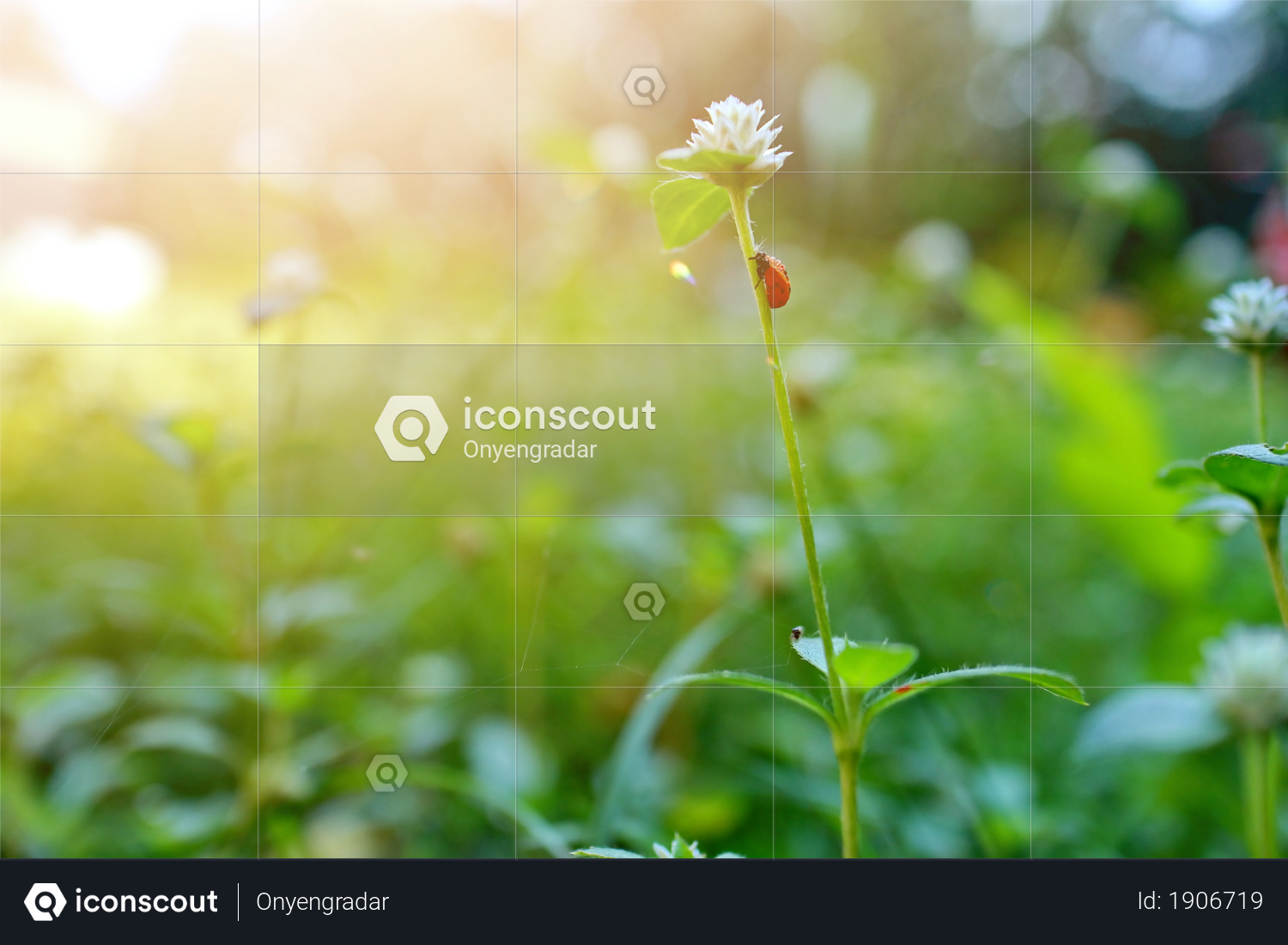 43+ Nature Beautiful Background Png Images Gif