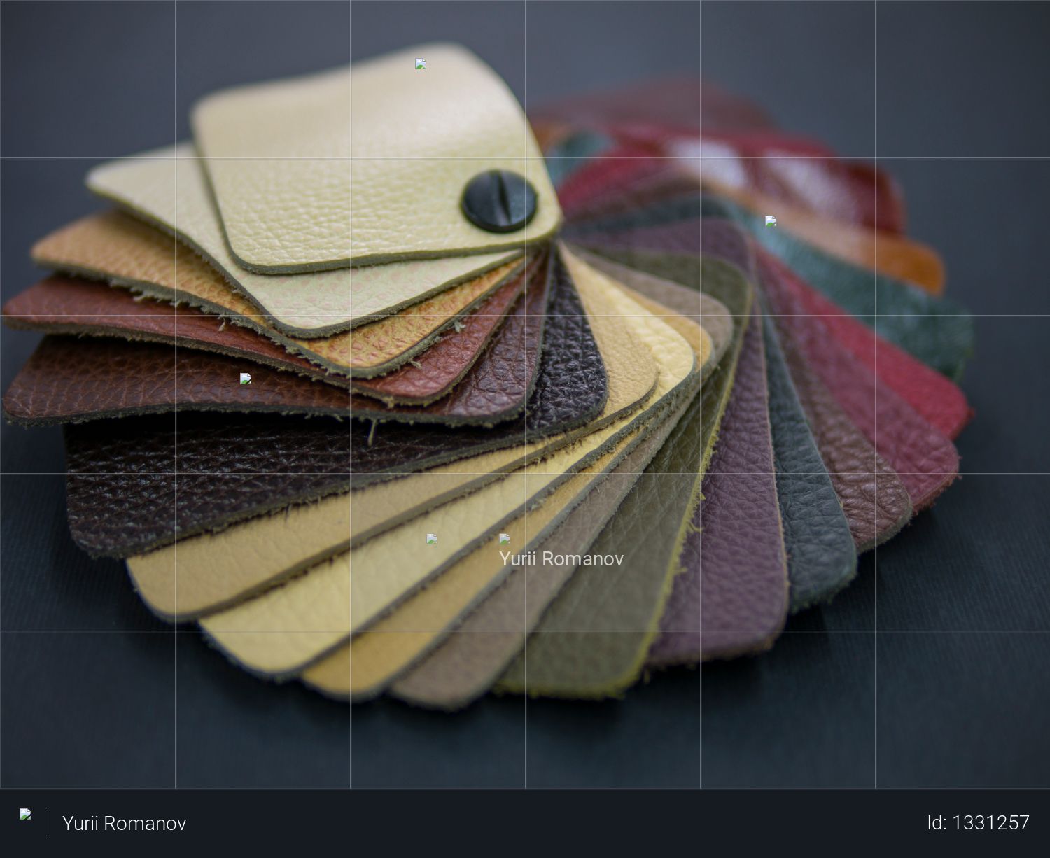 Fan catalog with colored leather samples Photo