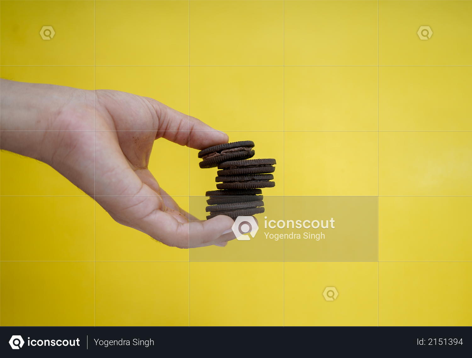 Hands holding chocolate biscuits on a yellow background with copy space Photo