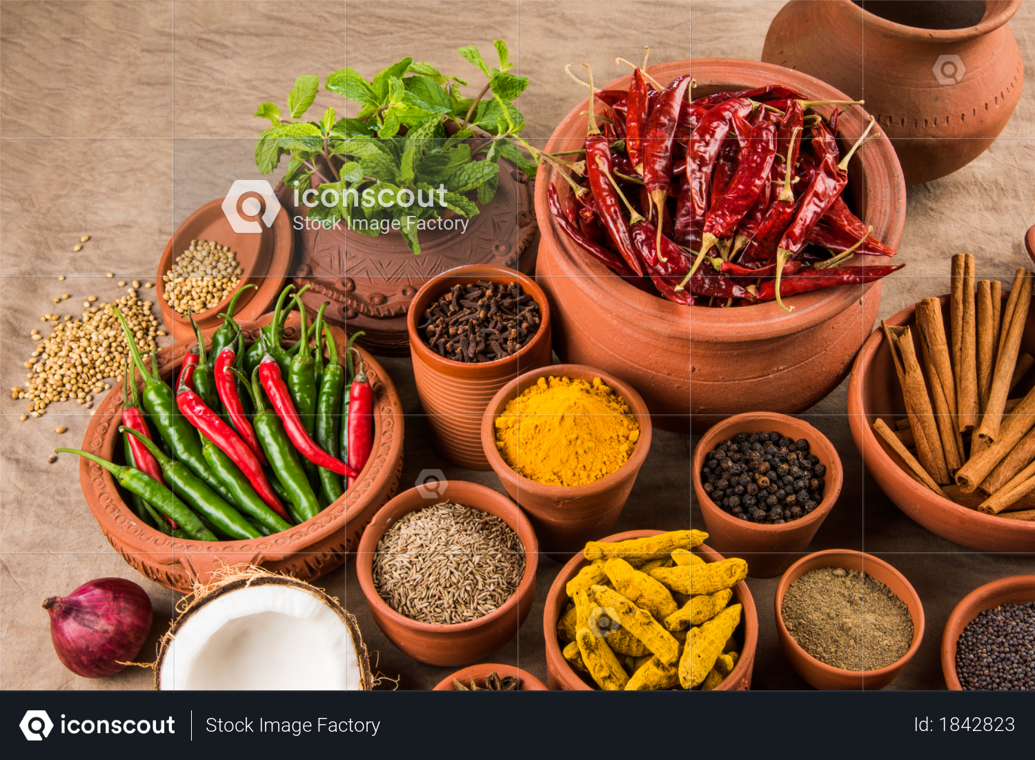 Indian Spices in terracotta pots Photo