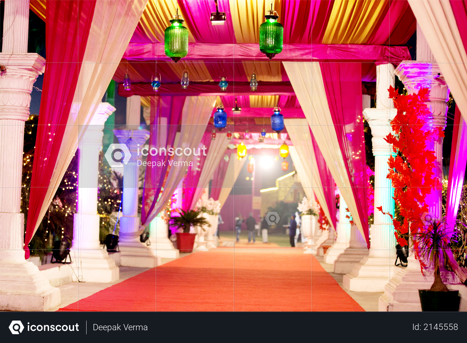 Light bulb decor in outdoor party & Wedding Photo