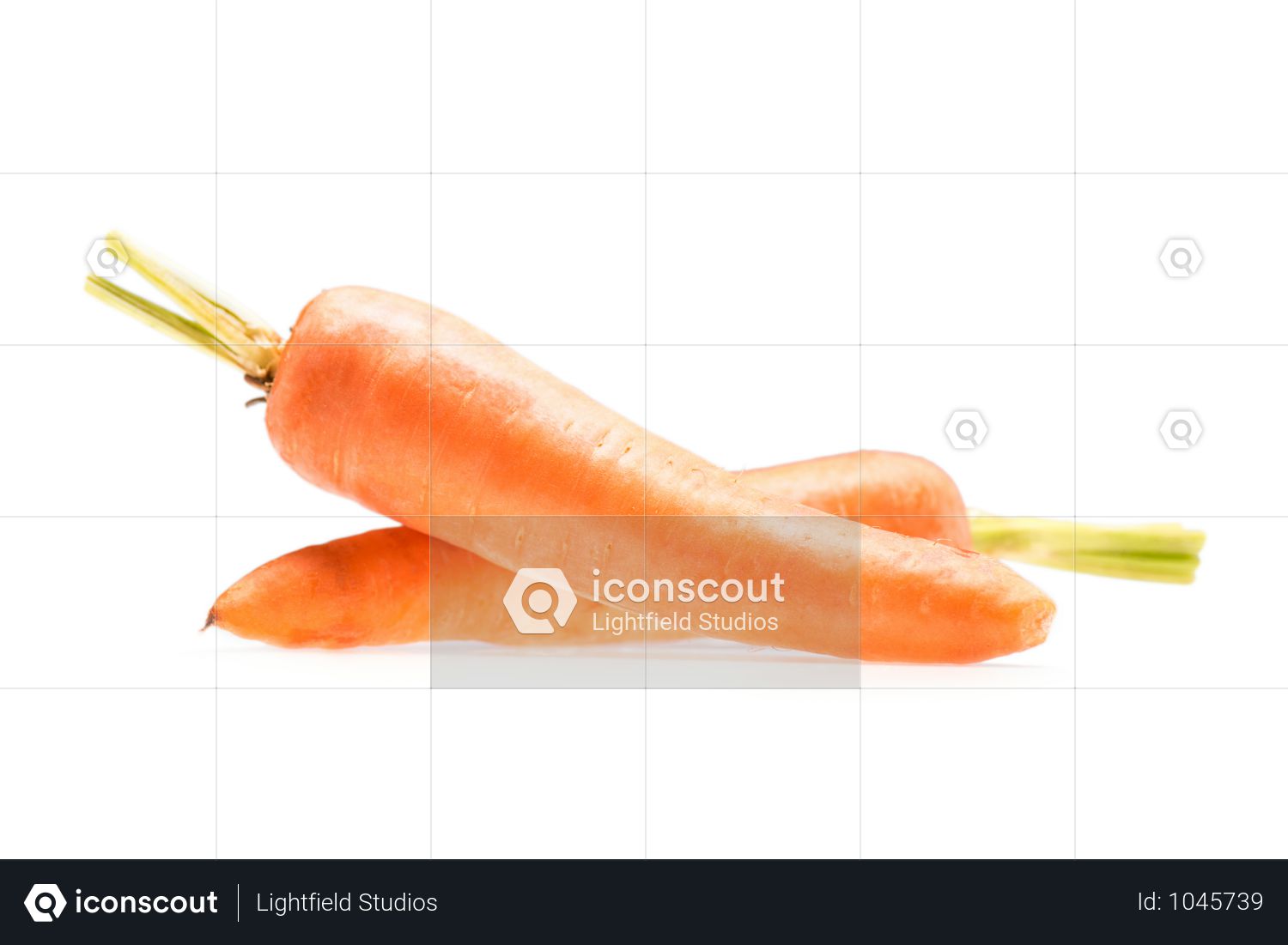 Pile Of Fresh Ripe Healthy Carrots Isolated On White Photo