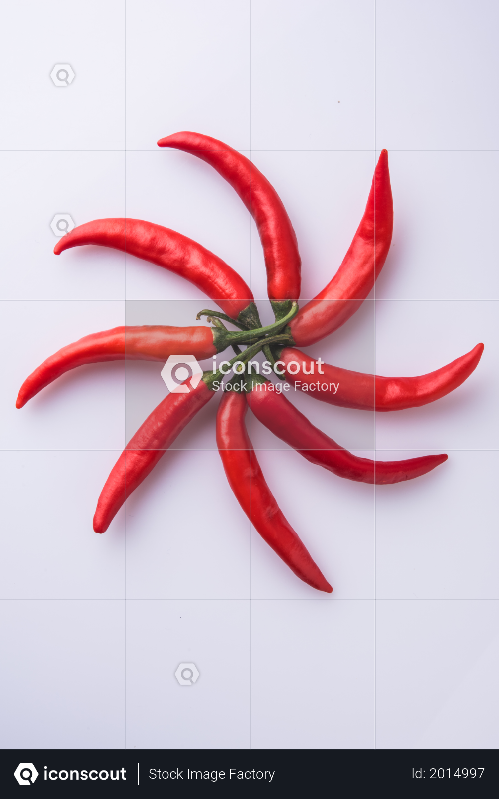 premium red or green hot chilies or mirchi on floor with different pattern photo download in png jpg format iconscout