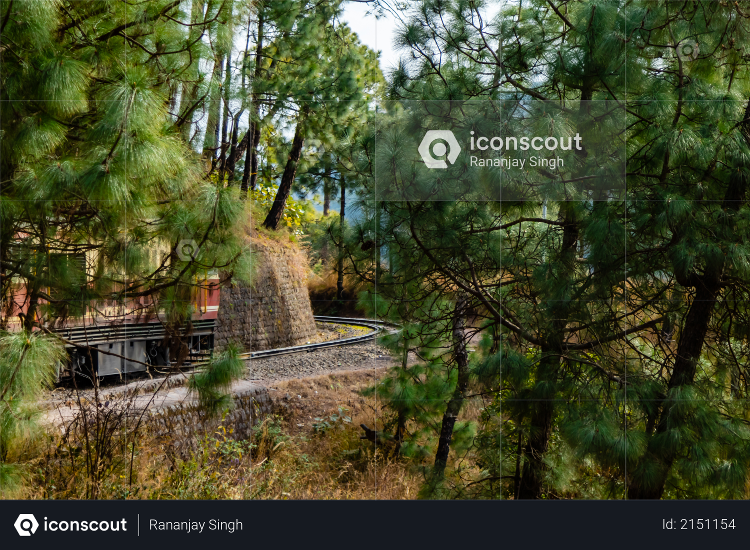 Train visible behind the trees along side mountain, travel concept Photo