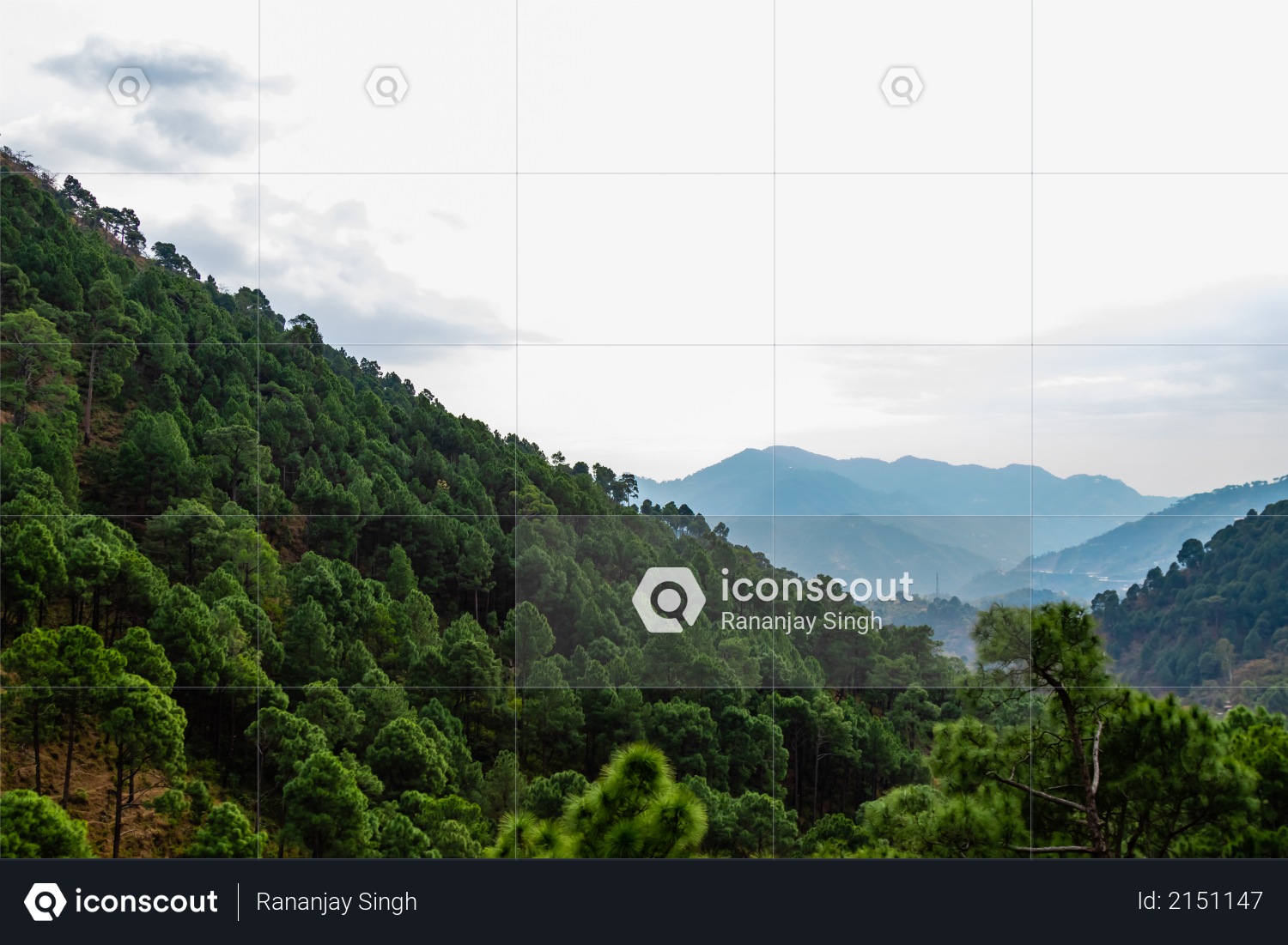 Wide shot of beautiful hills covered with trees and sky in the background Photo