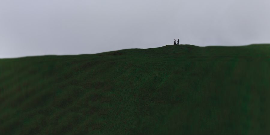A Young And Beautiful Wedding Couple Standing Together For Photoshoot On A Big Green Field Photo